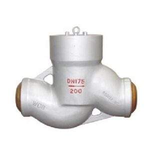 Lift Check Valve
