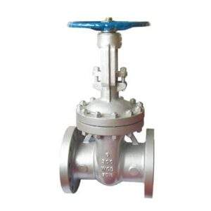ANSI Gate Valve