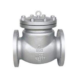 ANSI Check Valve