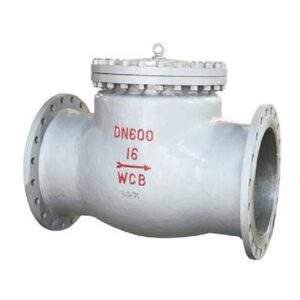 Swing Check Valve