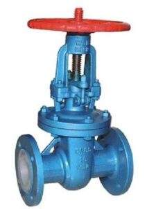 Fluorine Lined Gate Valve
