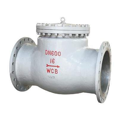 function of a check valve
